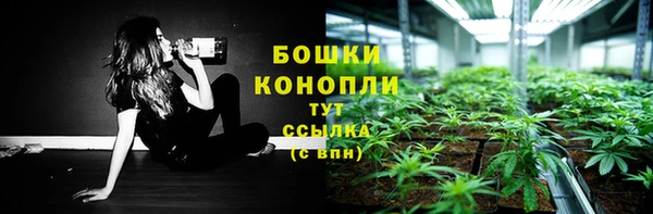 дурь Тавда