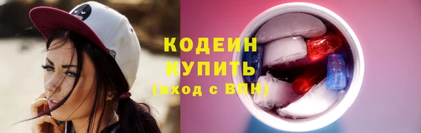 ПСИЛОЦИБИНОВЫЕ ГРИБЫ Тайга