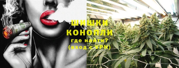 ПСИЛОЦИБИНОВЫЕ ГРИБЫ Тайга