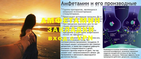 дурь Тавда