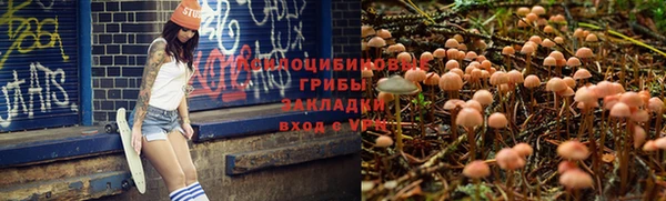 ПСИЛОЦИБИНОВЫЕ ГРИБЫ Тайга