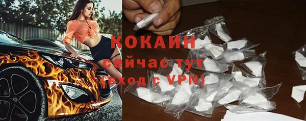 дурь Тавда