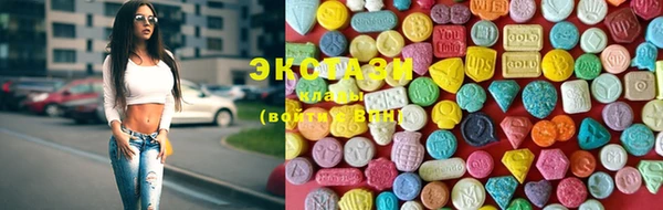 ПСИЛОЦИБИНОВЫЕ ГРИБЫ Тайга