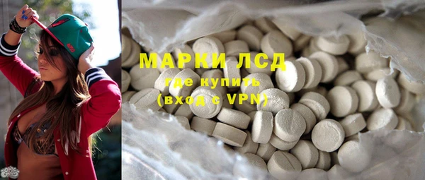 ПСИЛОЦИБИНОВЫЕ ГРИБЫ Тайга
