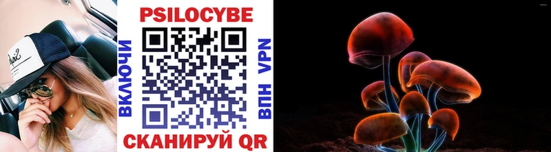Псилоцибиновые грибы Psilocybe  Купить закладки  Верхний Тагил 